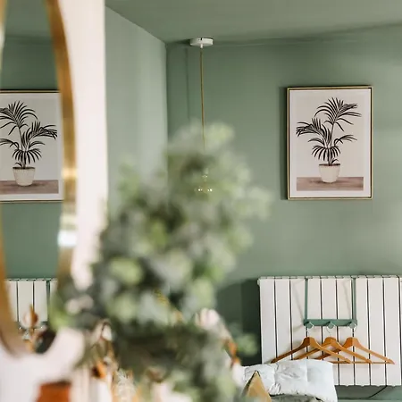 Apartment Le Criquet - Hypercentre - Filet De Detente *