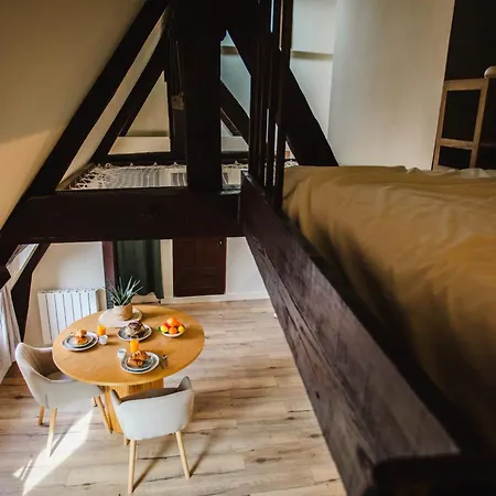 公寓 Le Criquet - Hypercentre - Filet De Detente