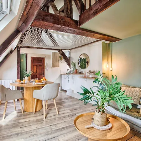 Apartment Le Criquet - Hypercentre - Filet De Detente *