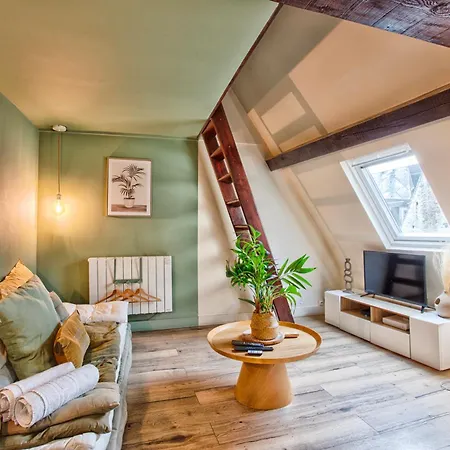 Apartment Le Criquet - Hypercentre - Filet De Detente *