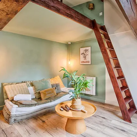 Apartment Le Criquet - Hypercentre - Filet De Detente