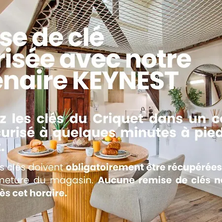 Apartament Le Criquet - Hypercentre - Filet De Detente
