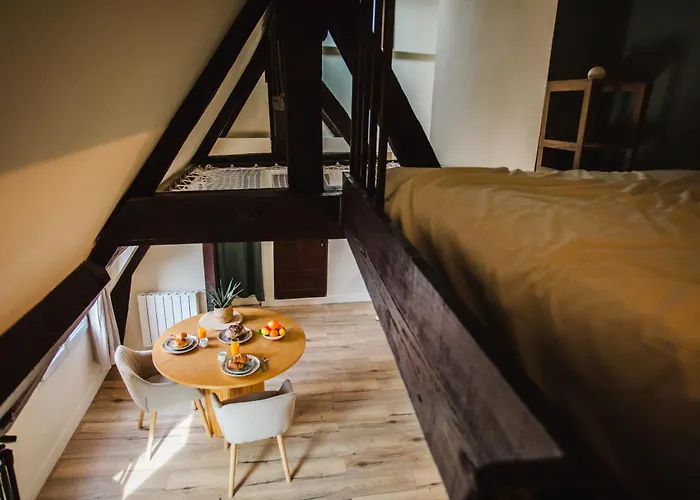 Apartment Le Criquet - Hypercentre - Filet De Detente