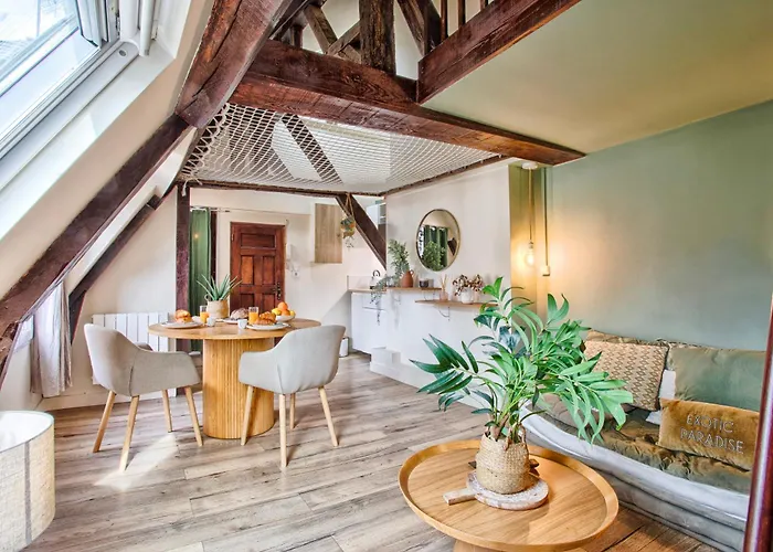 Apartment Le Criquet - Hypercentre - Filet De Detente *