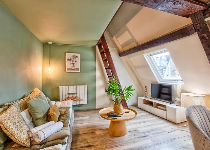 Apartment Le Criquet - Hypercentre - Filet De Detente *