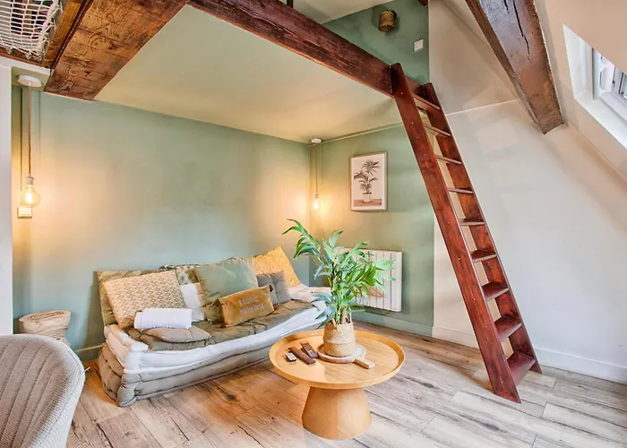 Apartment Le Criquet - Hypercentre - Filet De Detente